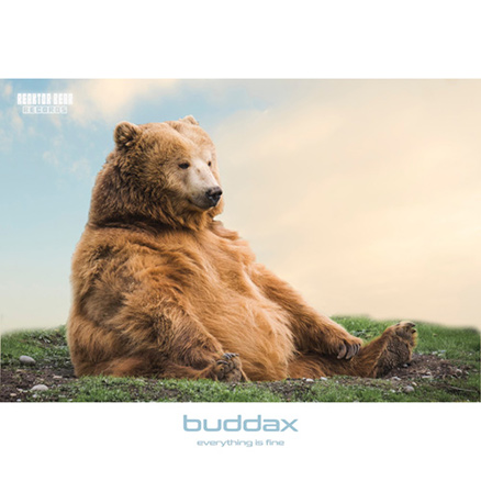 buddax - Everything is fine